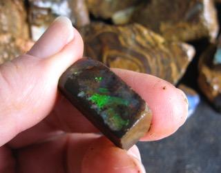 $99 IMG_6825 SPECIAL Boulder Opal 1