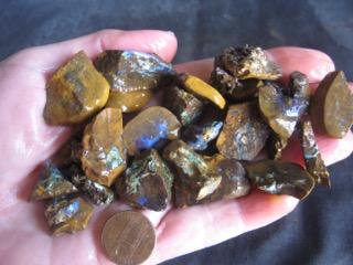 $109 IMG_3925 Boulder opal.