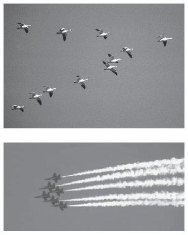 It has been determined that the birds in a typical flock can fly to their destination in V-formation with onethird less energy (by utilizing the updraft generated by the bird in front).