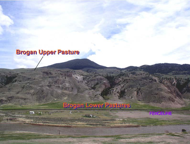 Bison Feasibility Study-Three Phases Lens Lake-Possible Phase III Brogans- Phase I Dome Mtn- Phase II YNP Figure 1.