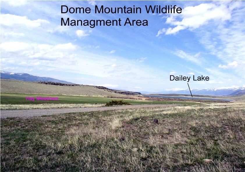 site at Dome Mountain