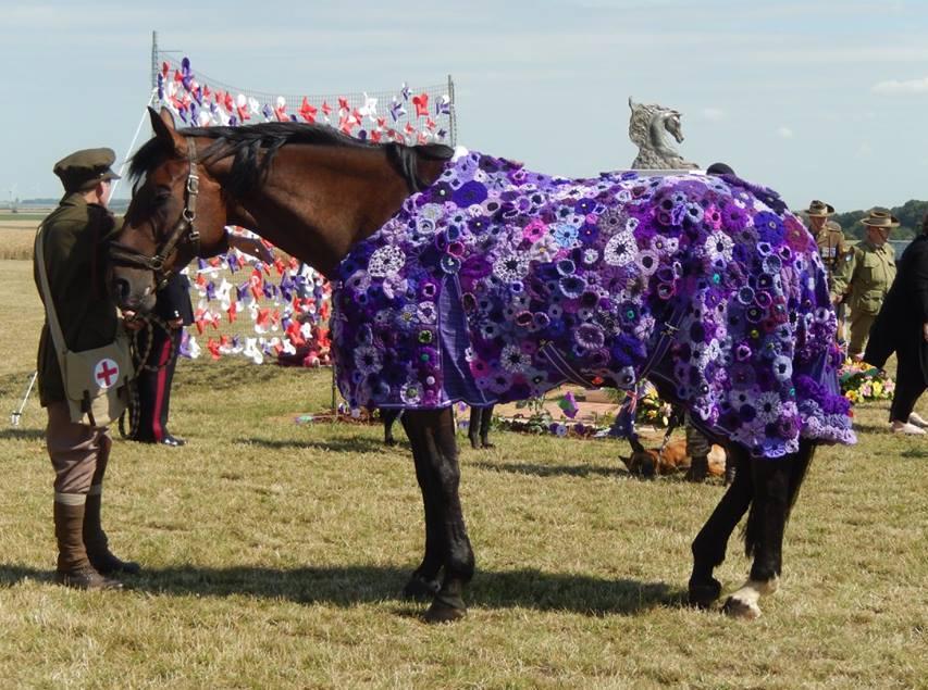 The beautiful purple poppy horse rug, each