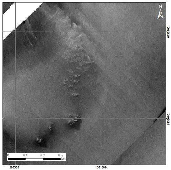 Furthermore, both side scan sonar and SAS systems have a similar spatial coverage, but the SAS data is acquired at about half the speed of conventional towed side scan sonar operations.