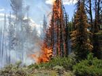 of its worst fire seasons in recent years 2002 More than 6