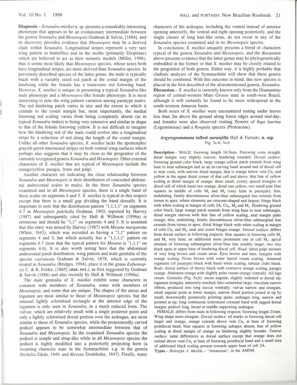 Vol. 10 No. 1 1999 HALL and FURTADO: New Brazilian Riodinids 21 Diagnosis.-Xenandra mielkei n. sp.