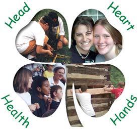 4-H is a community of young people in McKenzie County who are learning leadership, citizenship and life skills Inside this Issue: Fair Exhibit Books 4-H Showmanship Day 4-H Horse Show & Practices