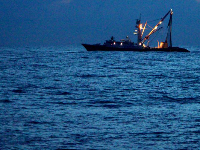 Tuna purse seiner at sunrise on the Pacific high seas. Greenpeace How tuna-safe is dolphin-safe?