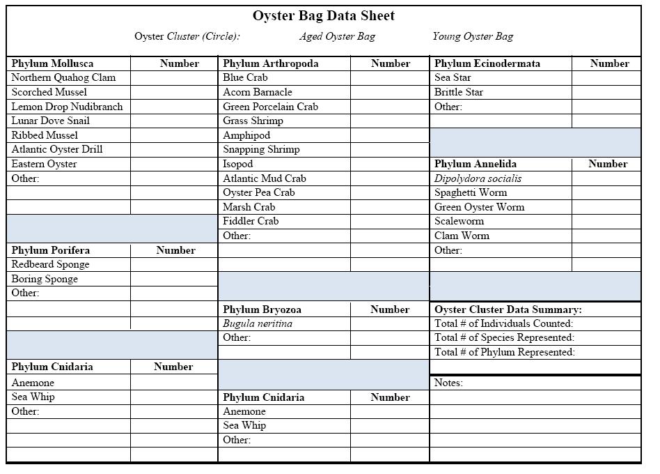 Appendix 2 Oyster Bag Data Sheet Lesson