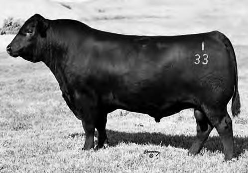 06 3.5 156.3 12.55 Two embryo packages out of Deer Valley Rita 3214, a full sister to Deer Valley Patriot, a leading young sire at Select Sires. Herd building genetics in these packages. SI 6 2.