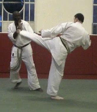 Karate (Wado Ryu) Answers Karate is an art of unarmed combat using hands and feet, which can be used for self-defence.