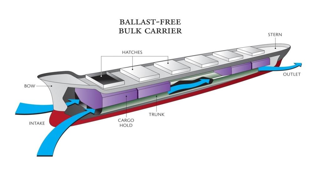 The ballast-free design allows water to flow into "trunks" inside the ship's hull, and then to pass out through outlets at the stern.