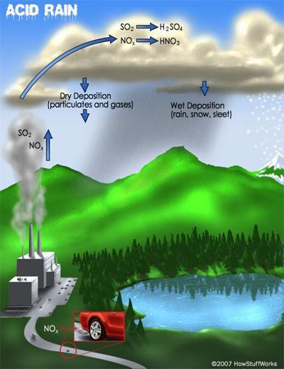 Exhaust Emissions Sulfur in the air creates acid rain which damages crops and buildings When inhaled the sulfur is known to