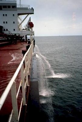 Introduction Ships create noise pollution that disturb natural wildlife Water from ballast