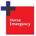Equine Emergencies Horses like to hurt themselves!