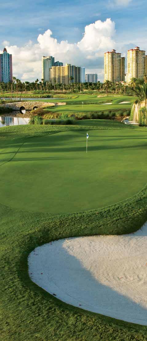 STRAIGHTEST DRIVE SPONSOR $3,000 CSI Management & south florida opulence magazine 4th Annual Golf Classic Sponsorship