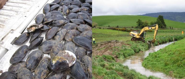 10.5.1 Land and Infrastructure Management Several physical factors influence the density of mussels.