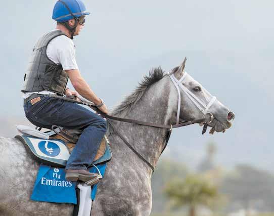 DRF.COM/BREEDING DAILY RACING FORM Saturday, January 21, 2017 PAGE 31 FROSTED BACK HOME TO START HIS SECOND CAREER By Nicole Russo Thomas Wolfe wrote that you can t go home again but no one bothered