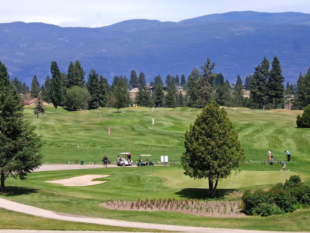 FOR MEMBERS IN THIS CATEGORY WHO WISH TO USE THE GOLF CANADA HANDICAP SYSTEM, AN ADDITIONAL FEE OF $40 WILL BE APPLICABLE.