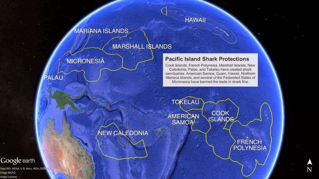 Gives full protection to the oceanic whitetip shark (Carcharhinus longimanus) in the Convention area, with mandatory immediate release of those caught during fishing operations (CMM-2011-04);