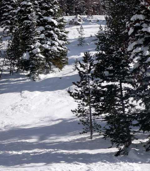 Figure 5: View looking up from near where skier 3
