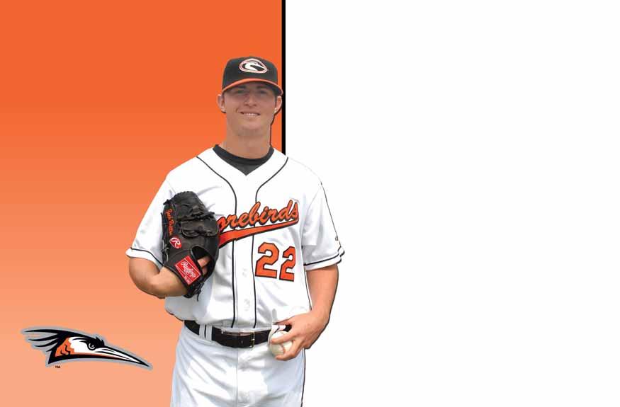 Arthur W. Perdue is absolutely the best place for baseball! And with our brand new seats, how about coming to a Shorebirds game and see the 2017?