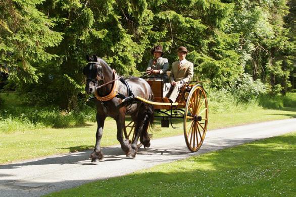 30 Driven turnouts 20 On-foot participants Attelage de Tradition INTRO TRAINING DAY ASHFIELDS CARRIAGE & POLO CLUB Great Canfield, Essex Monday 28th May 2018, Start 10.