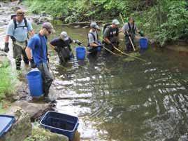 SURFACE WATER CLASSIFICATION 2015 Surface Water Classification Assessments Trout are useful bioindicators of stream health as excellent water quality and habitat are necessary for their survival and