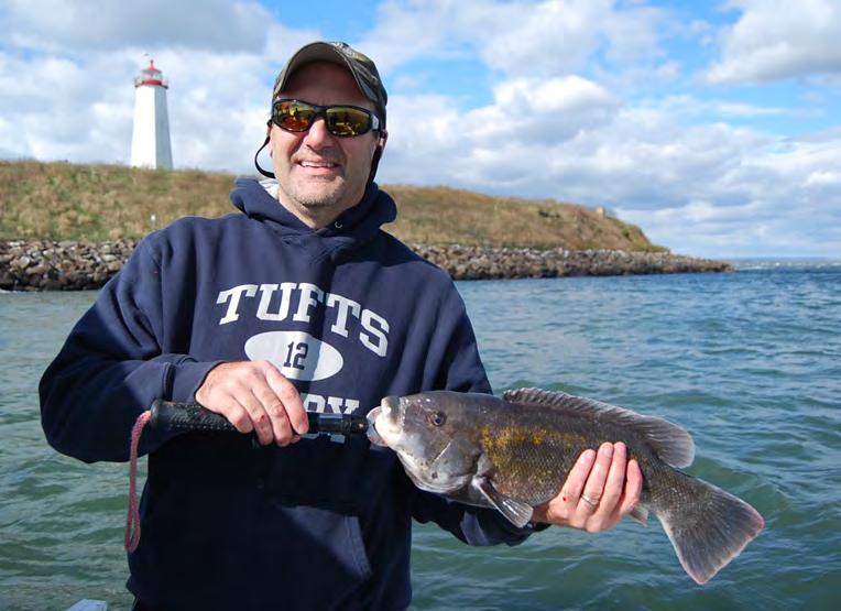SPECIEShighlights Tautog Biological Reference Points and Stock Status by