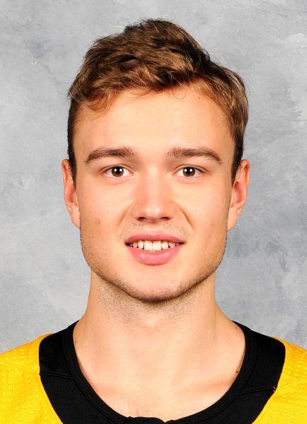 Bruins AHL 64 25 44 69 24 18 4 2 4 6 0 NHL Totals 59 5 12 17 12 Ryan Fitzgerald Center -- shoots L Born Oct 19 1994 -- North Reading, MA [23 years ago] Height 5.