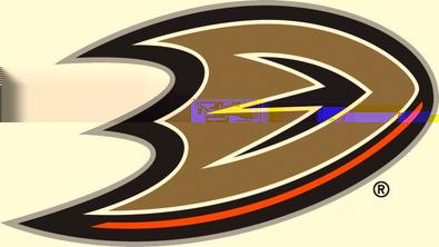 Anaheim Ducks Record: 46-23-13-105 Points