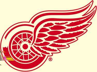 Detroit Red Wings Record: 33-36-13-79