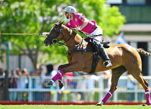 Open, the most important polo tournament in the