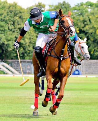It s no wonder then, that the Berlin Maifeld has been awarded the honour of being the venue for the European Polo Championships in 2016.