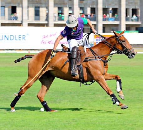 The Federation of International Polo (FIP) gave us the go ahead for the European Championships in December 2014!