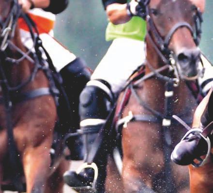 While it is a powerful group of people, going to polo is a very casual thing. The country s connections to its polo playing neighbours are intimate and friendly.