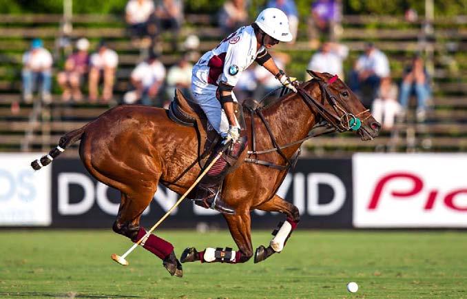 2nd ChUKKA POLO +10 WORLD 85 Miguel riding Aguada Anónima, the prized mare that was bread by his late brother Javier, and won the Mejor Producto Polo Argentino award on 2013.