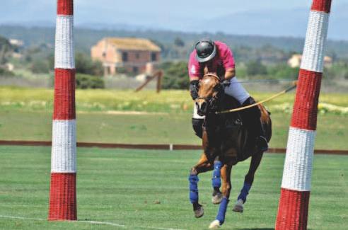 Following three weekends of exciting polo, in the end team Barralina, consisting of Daniel