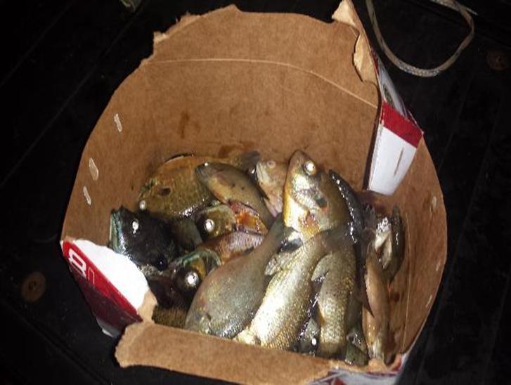 On Friday, May 30, RFC Ricky Boles and RFC Richard Tanner encountered a group of fisherman that was collecting snails in Lake Oconee.