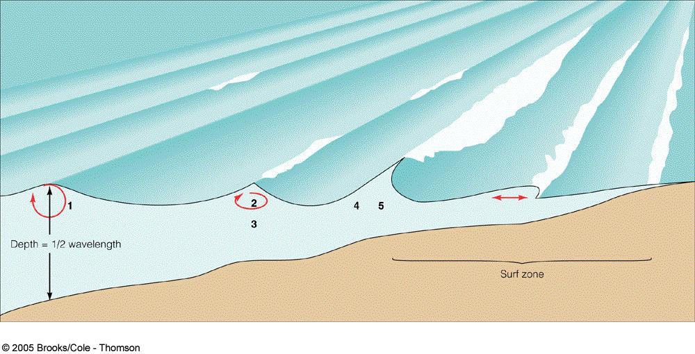 Wind Waves Change as Approach Shore Feel bottom when H 2 O depth ½ wave s wavelength Circular H 2 O particle orbits change to flattened ellipses Wavelength, Period