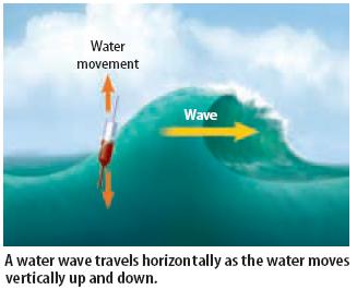 Parts of a transverse wave: The highest point on
