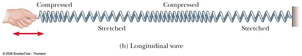 Types of Waves Longitudinal In a longitudinal wave, the elements of the medium undergo