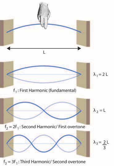 Slide 22 / 28 Standing Waves; Resonance The frequencies of the standing waves on a particular