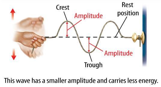The amplitude of a transverse wave is the