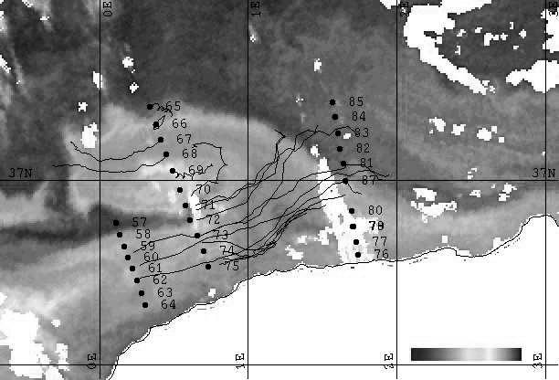 FIG. 1. NOAA AVHRR image of the ALGERS 96 area on 16 October 1996, with the location of several CTD stations and trajectories of the 18 Lagrangian drifters until 21 October.