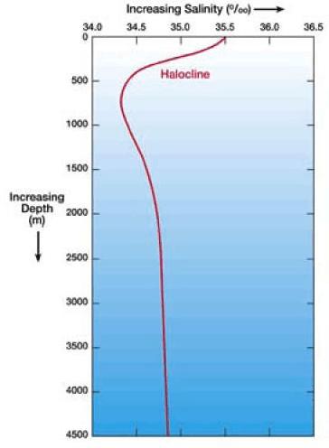 Figure 4: Temperature and Salinity Profile of the Ocean Sources: http://www.windows.ucar.edu/tour/link=/earth/water/temp.html&edu=high (accessed July 2005 http://www.windows.ucar.edu/tour/link=/earth/water/salinity_depth.