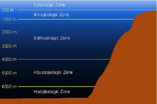 Figure 5: Depth Profile of Ocean Zones Source: WPRFMC 2005b. 3.2.6 Ocean Water Circulation The circulation of ocean water is a complex system involving the interaction between the oceans and atmosphere.
