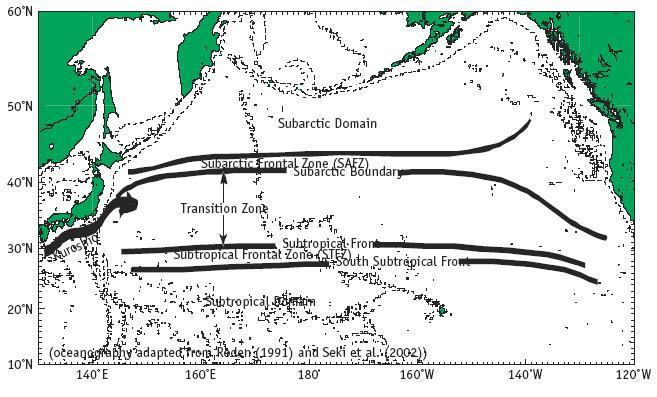 southern boundary of the Subartic Frontal Zone (SAFZ) and the northern boundary of the Subtropical Frontal Zone (STFZ; see Figure 7).