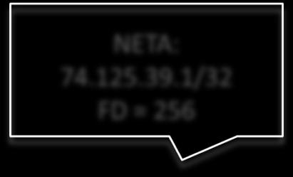 NETA: 74.125.39.