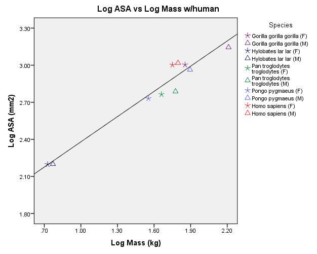 Figure 7. Regression of Log 10 of ASA (mm 2 ) on log 10 Mass (kg).