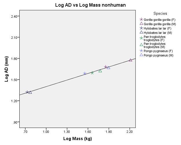 Figure 8. Regression of Log 10 of AD (mm 2 ) on log 10 Mass (kg). Data points are sex-specific species means of nonhuman hominoids.